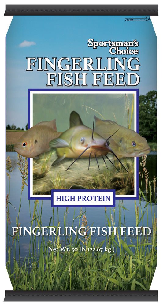 Fisher Gold Fish Feed at Rs 1200/kg