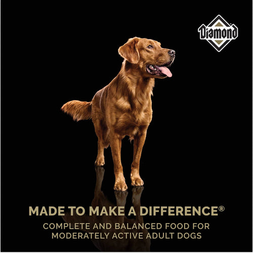 Diamond Maintenance Dry Dog Food