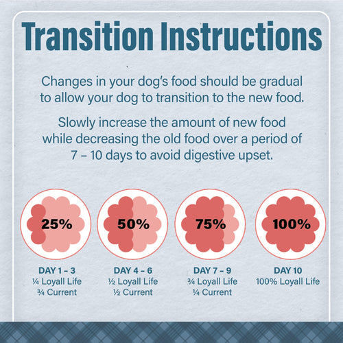 Nutrena® Loyall Life® Chicken & Brown Rice Recipe All Life Stages Dog Food