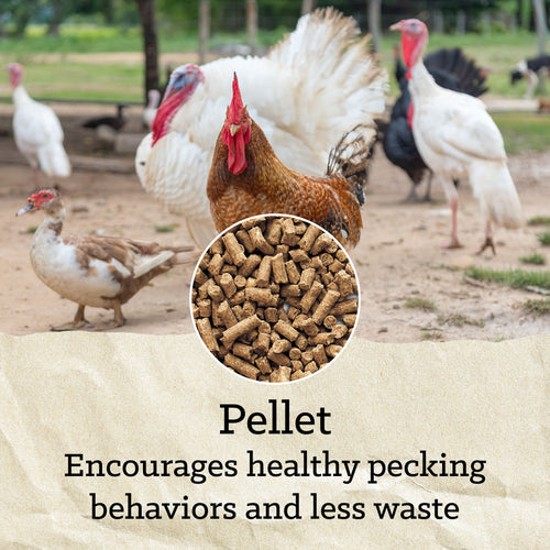 Nutrena® NatureWise® All Flock 20% Protein Pellet
