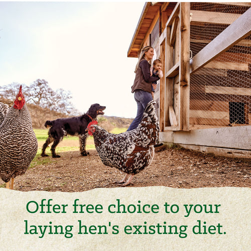 Nutrena® NatureWise® Oyster Shell