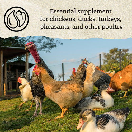 Nutrena® NatureWise® Oyster Shell