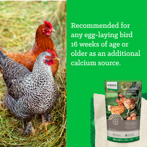Nutrena® NatureWise® Oyster Shell
