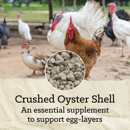Nutrena® NatureWise® Oyster Shell
