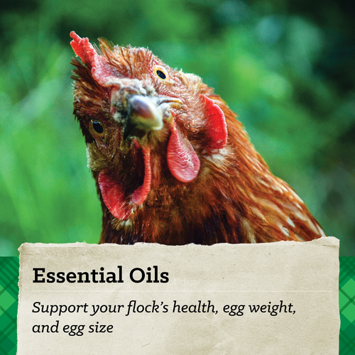 NatureWise® All Flock 20% Protein Crumble