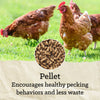 NatureWise® Free-Range Egg Producer 21% Protein Pellet